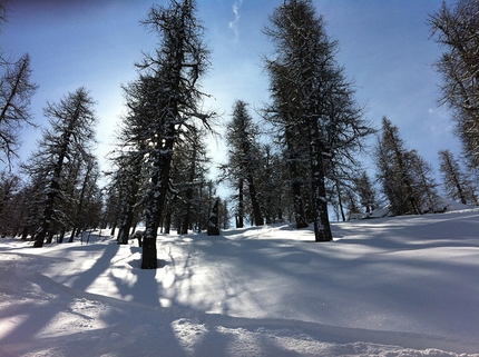 Freeride, valanghe & Co - L’impagabile magia del bosco in una mattinata di fine marzo con 40 cm di polvere appena caduta, ovviamente a Prali.