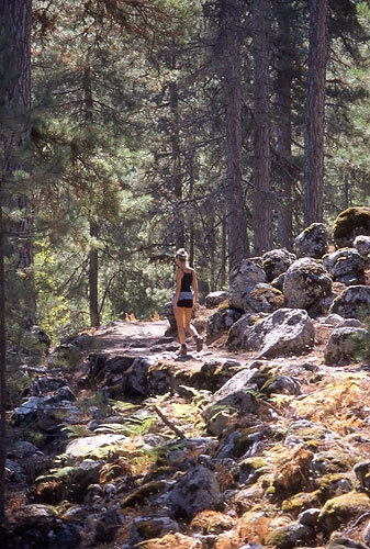 Corsica trekking - Lac de Nino - Start through the beautiful Poppaghia forest.