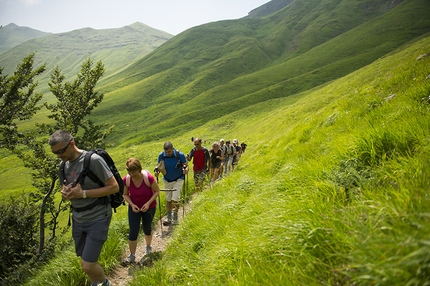 Walking, a long journey of discovery