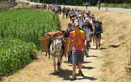 Good for Alps - Festival della Viandanza