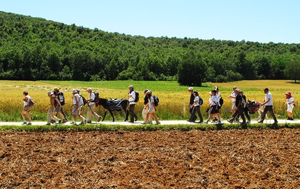 Good for Alps - Festival della Viandanza