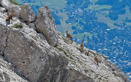 Sentiero Olivieri, Tofana, Dolomites - Sentiero Olivieri, an easy equipped path above Cortina