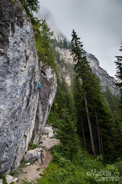 Malga Ciapela (Marmolada) - Federica Bressan - Barba luca 6b