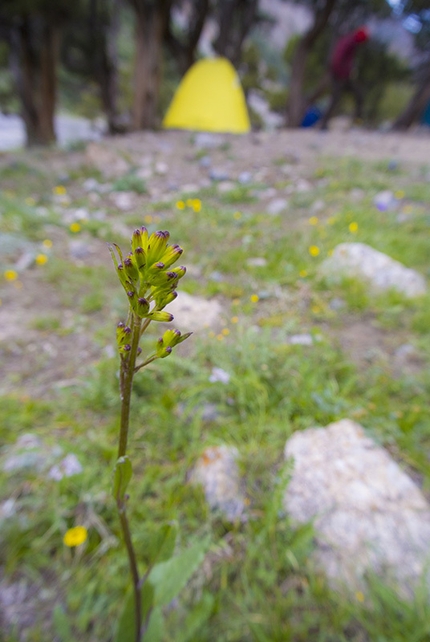 Ak-su Valley, Pamir Alay, Kirghizistan - Base Camp