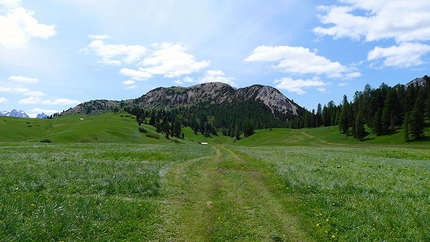 Pratopiazza, Dolomites - A walk to Prato Piazza in the Dolomites