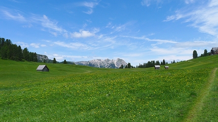 Pratopiazza, Dolomites - A walk to Prato Piazza in the Dolomites