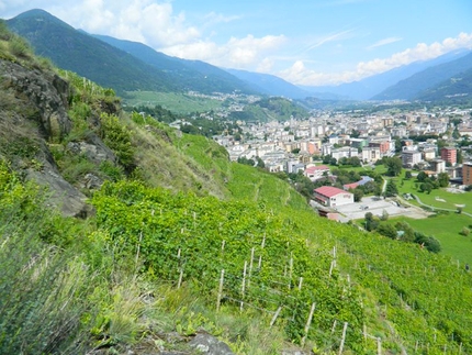 We Are Alps - Parte 1 - Vigneti sopra Sondrio, Valtellina