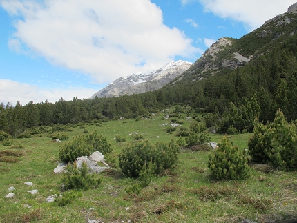 Monte Solena, camminare in Alta Valtellina