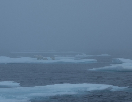 Groenlandia, isola di Baffin - Arrampicata a Gibbs Fjord, per Nicolas Favresse, Olivier Favresse, Ben Ditto e Sean Villanueva