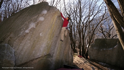 Cresciano - Petra Dvorak climbing Re Artù 6A at Cresciano