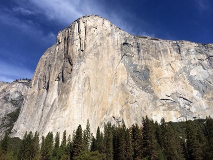 Alex Honnold: first video of Freerider free solo up El Capitan