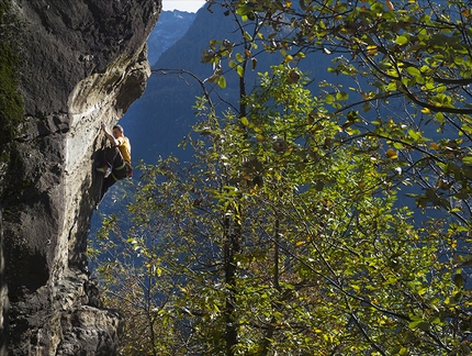 Val Chiavenna, Caprone - Figa di legno 7a+, semplicemente perfetto, Caprone