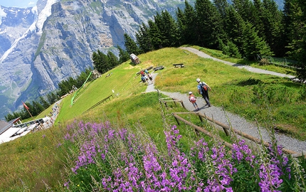 Piccoli viaggiatori a piedi e in treno - Mürren e Allmendhubel