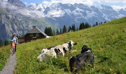 Piccoli viaggiatori a piedi e in treno - Mürren & Allmendhubel