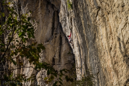 Tarzan Wall, Sanzan - Gianluca Bellin climbing PKK 7c, Tarzan Wall, Sanzan