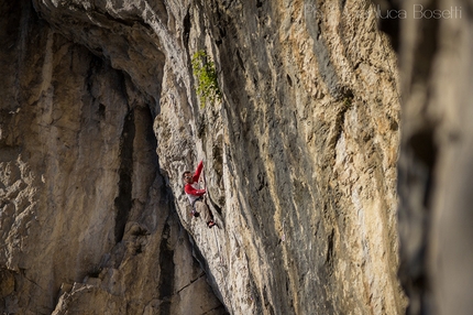 Tarzan Wall, Sanzan - Gianluca Bellin climbing PKK 7c, Tarzan Wall, Sanzan