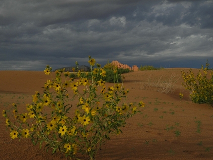 Desert Sandstone Climbing Trip #3 - Indian Creek, Monument Valley, Castle Valley - From Moab towards Monument Valley