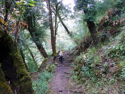 Rolwaling, Nepal, Himalaya - The first part of the Rolwaling valley, marked by beautiful forests