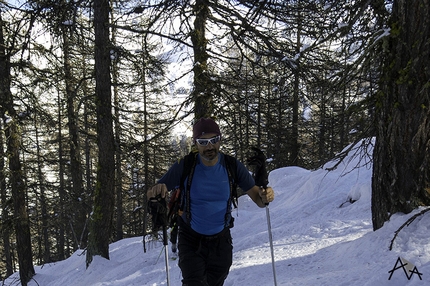 Un monte qualunque - Valle del Cuneese - Un monte qualunque: nel lariceto