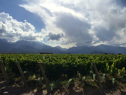 Los Arenales, Argentina - Climbing at Los Arenales in Argentina: during rest days ther's certainly enough wine ;-)