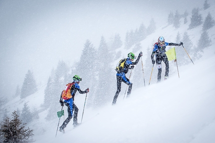 Transcavallo 2015 - Durante la 32° edizione della Transcavallo