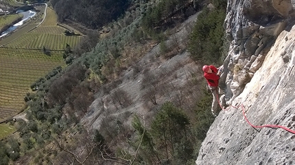 Alla ricerca della