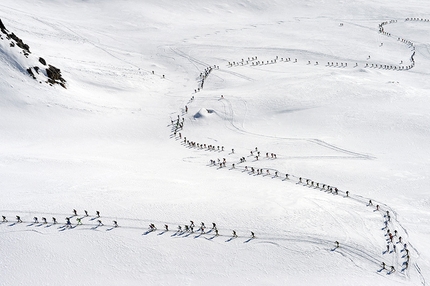 Adamello Ski Raid 2015 - Adamello Ski Raid 2015