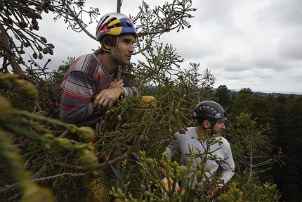 Chris Sharma, Redwood tree, Eureka - Chris Sharma and research scientist Anthony Ambrose take samples from the canopy of a Redwood tree in Eureka, CA, USA on 19 May, 2015.