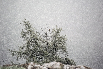 Giovanni Spitale - Giovanni Spitale, aspettare