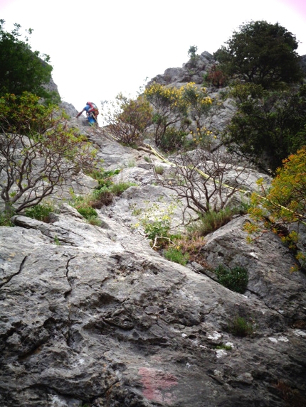 Parco delle Madonie, Sicilia - La coccinella del diavolo (V+, 315m)