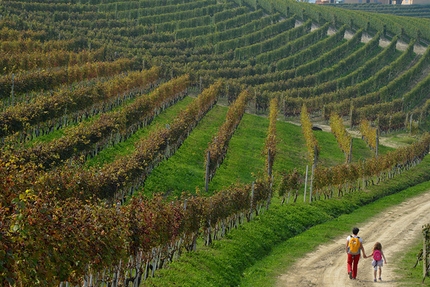 Langhe-Roero e Monferrato, camminate facili per bambini in Piemonte