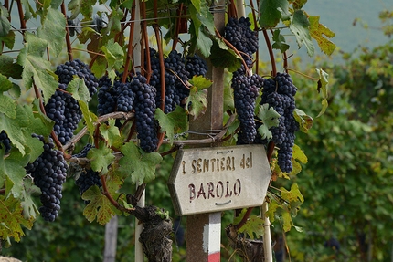 Langhe-Roero e Monferrato, Piemonte - Da Barolo a Castiglione Falletto