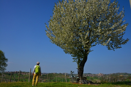 Langhe-Roero e Monferrato, Piemonte - Agliano Anello della Barbera