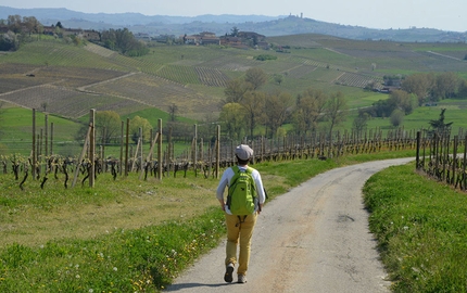 Langhe-Roero e Monferrato, Piemonte - Agliano Anello della Barbera