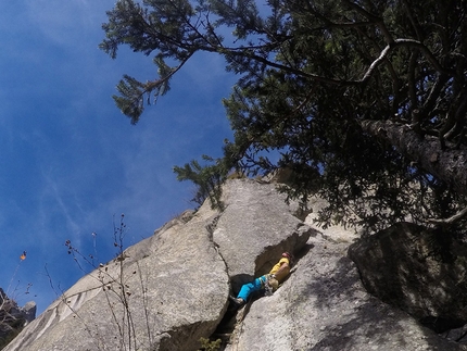 Val di Mello, Scoglio delle Metamorfosi, Here today gone tomorrow, Daniele Bianchi, Pietro Biasini, Mirko Masè - Here today gone tomorrow on Scoglio delle Metamorfosi, Val di Mello: Daniele Bianchi climbing pitch four