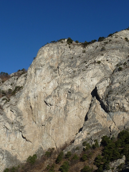 Catteissard, Neverending Wall: Perseverare è umano.