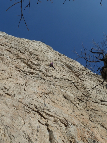 Neverending Wall, Parete Rossa Di Catteissard - Neverending Wall: Federica Mingolla su Perseverare è umano 8a.