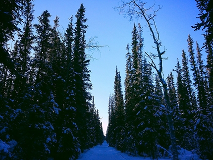 Montane Yukon Arctic Ultra, Canada - Durante il Montane Yukon Arctic Ultra 2016 in Canada