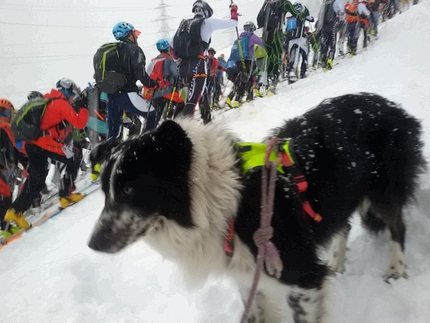 Tris Rotondo, Canton Ticino, Svizzera - Durante il Tris Rotondo, la gara di scialpinismo domenica 28 febbraio 2016 in Canton Ticino, Svizzera.