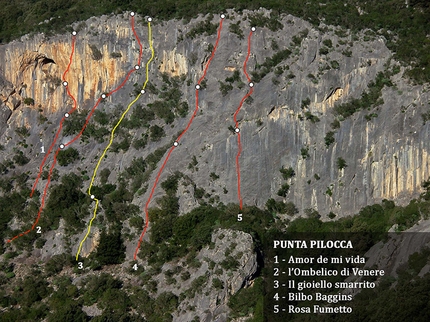 Punta Pilocca, climbing in Sardinia - Punta Pilocca: 1. Amor de Mi Vida (7a+ max, Maurizio Oviglia, Fabio Erriu, 2016) 2. L’ombelico di Venere (6a+ max, Maurizio Oviglia, Fabio Erriu, 2016) 3 .Un Gioiello Smarrito (5c max, Corrado Pibiri e Fabrizio Lampis, 2016) 4. Bilbo Baggins (4b max. Mondo Liggi, F. Barbaro 1984) 5. Rosa Fumetto (5b max, Mondo Liggi, Maurizio Oviglia, Cecilia Marchi,1985)