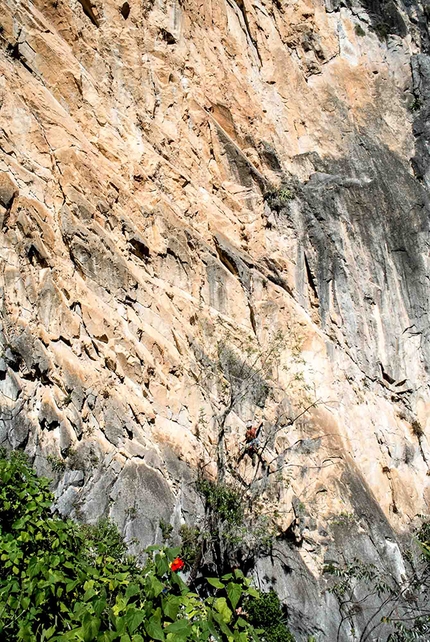 Climbing: El Chaman Loco, El Salto, Mexico, Simone Pedeferri, Paolo Marazzi, Marco Maggioni - During the first ascent of El Chaman Loco, El Salto, Mexico (Simone Pedeferri, Paolo Marazzi, Marco Maggioni 11/2015)