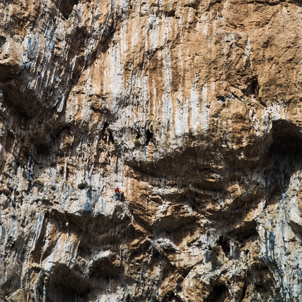 Arrampicata sportiva a Leonidio, Grecia - Durante l’apertura di Fuori di Zucca (7c+/8a (7b obbl), 155m, Dimitri Anghileri, Simone Pedeferri, Luca Schiera 03/2016) Garden of Dionysus parete est, Leonidio, Grecia