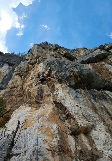 Arrampicata, Dain di Pietramurata, Valle del Sarca - Sulla via Pace in Siria (7a+, 6c+ obbligatorio, 230m, Marco Bozzetta, Francesco Salvaterra 2016), Dain di Pietramurata in Valle del Sarca