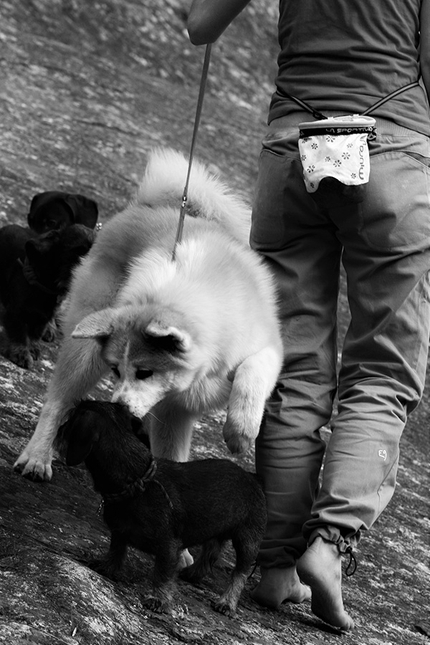 Melloblocco 2016, Val di Mello, Val Masino - Lo spirito del boulder al Melloblocco