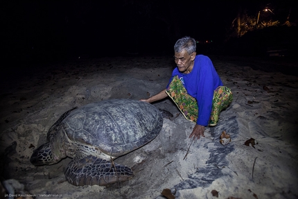 Dragon Horns, Tioman Island, Malaysia, David Kaszlikowski, Jonas Wallin - Uncle Sam and a giant visiting turtle, Tioman Island, Malaysia