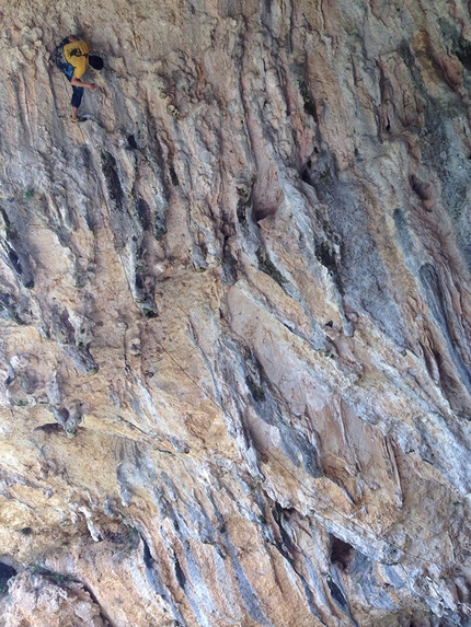 Arrampicare alla Cueva di Collepardo - Perso fra le canne: Cristiano Pinna.