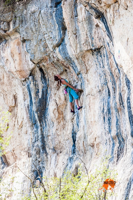 Falesia Ceredo Falconi - Arrampicata nella falesia Ceredo Falconi (Monti Lessini, VR)