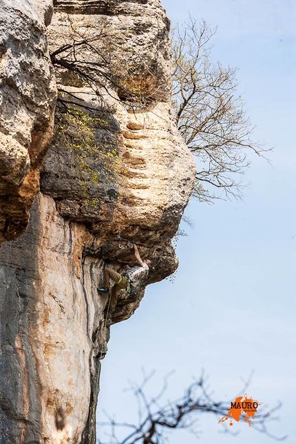 Falesia Ceredo Falconi - Arrampicata nella falesia Ceredo Falconi (Monti Lessini, VR)