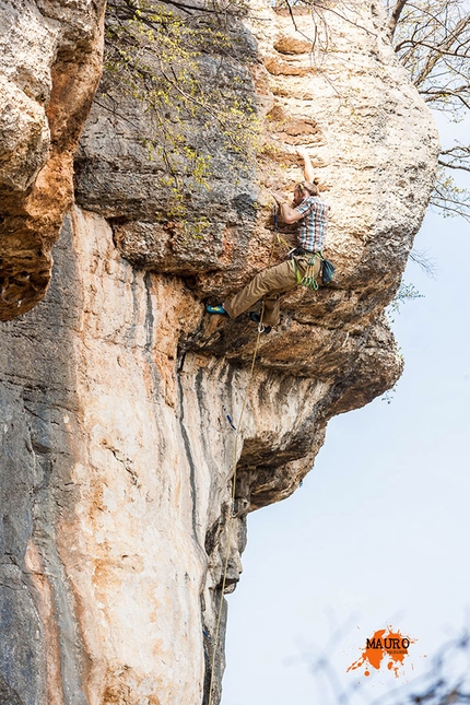 Falesia Ceredo Falconi - Arrampicata nella falesia Ceredo Falconi (Monti Lessini, VR)