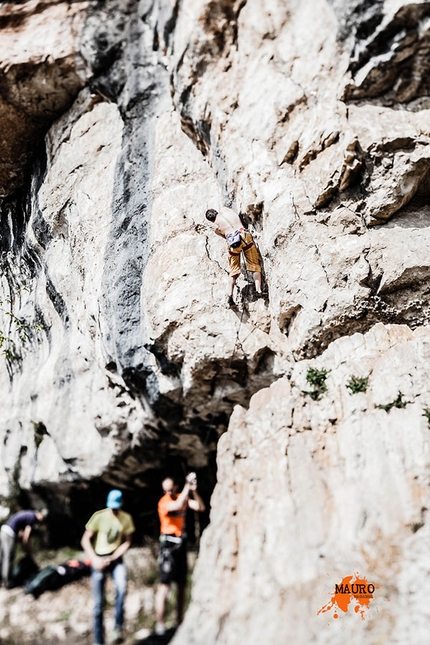 Falesia Ceredo Falconi - Arrampicata nella falesia Ceredo Falconi (Monti Lessini, VR)